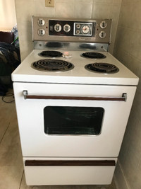 Electric Cook Stove