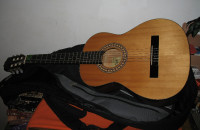 Acoustic Guitar *Beaver Creek* #010209201 -Model BCTC601- L. New
