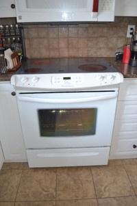 Glass top stove (Frigidaire), electric