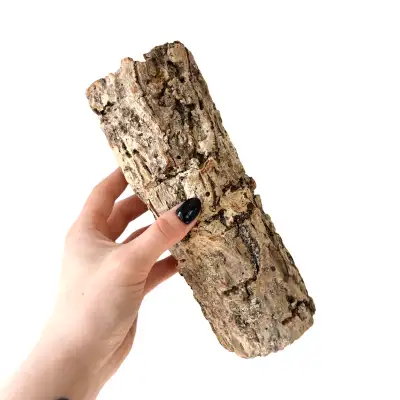 Cork Bark Tunnel, View more