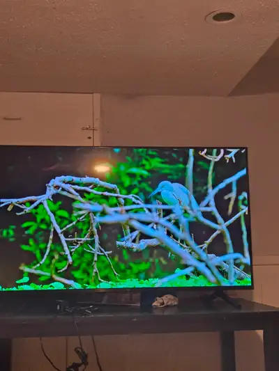 50 inch 4k UHD tv, View more
