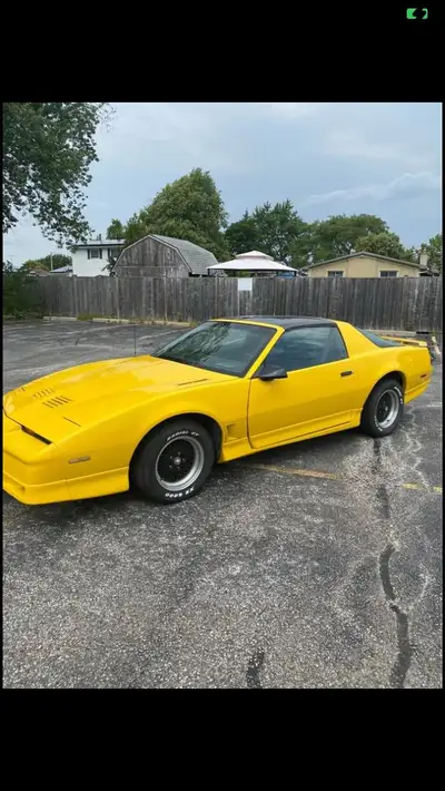 I'm selling my beloved 1985 Pontiac Trans Am. It's been well taken care of, winterized every year an...