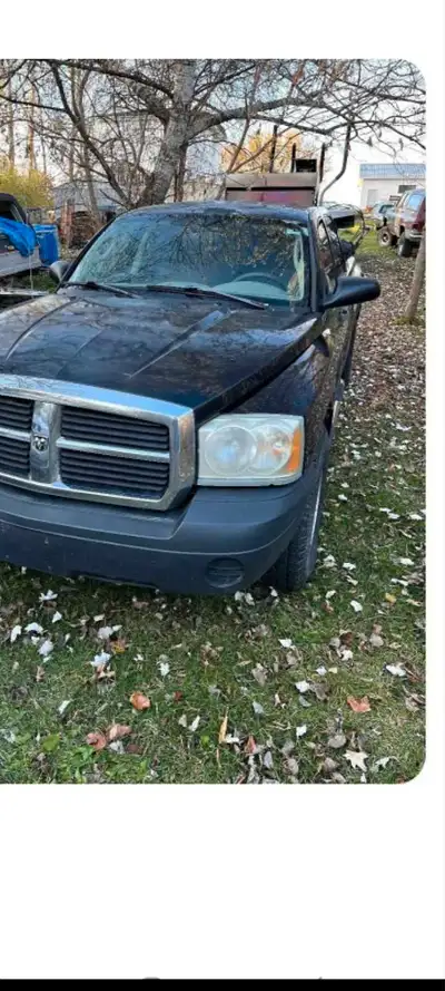 Searching for a rust free dodge dakota 5ft box for quad cab!