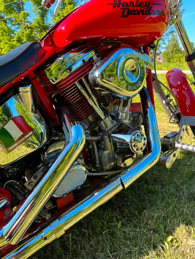1995 Harley Davidson soft tail motorcycle Selling my 1995 Harley Davidson soft tail motorcycle. The...