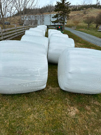 Hay bales for sale