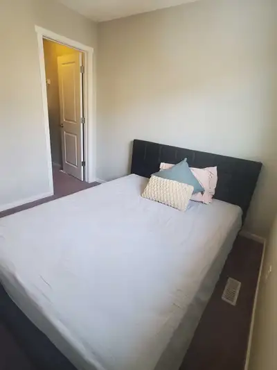 Private room for rent. All the amenities in walking distance Td bank Superstore Walmart Gym Tim hort...
