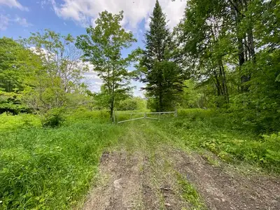 Grand territoire privé (# 3 768 634) de 215 âcres situé dans le Rang Talon 1-2 à Ste-Apolline-de-Pat...