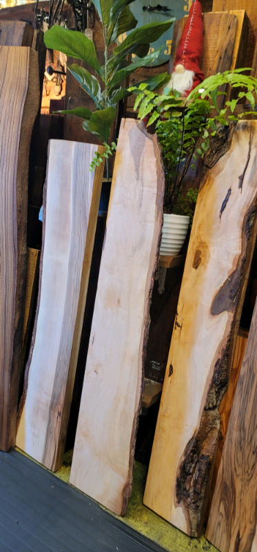 Tablettes en bois local  dans Décoration intérieure et accessoires  à Laval/Rive Nord - Image 3