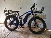Ultra E Mountain Bike