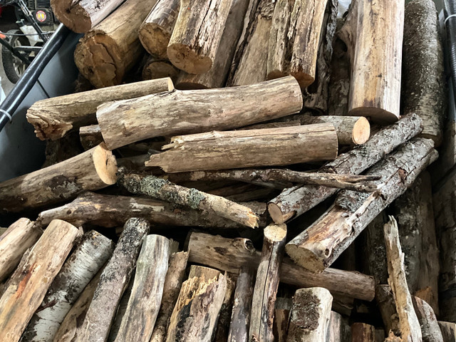 Dry mixed camp firewood reasonably priced includes3 bundles of k in Other in Bedford