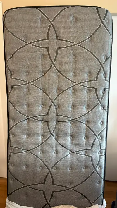 FREE Twin XL Sealy Posturepedic Eastpoint mattress, View more
