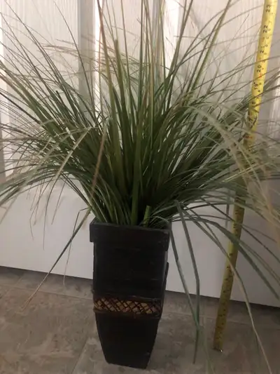 Artificial Plant, View more