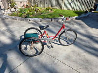 Adult tricycle 24" wheel, trike 3 wheel bike