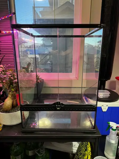 Terrarium, View more