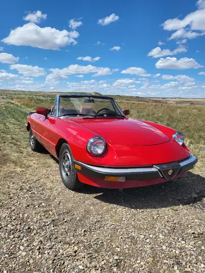 1986 alfa romeo spider convertible,
