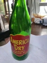Vintage American Dry bottle