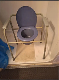 Portable Potty