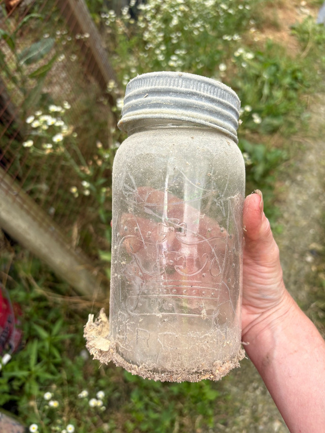 vintage mason jars  in Storage Containers in Chatham-Kent