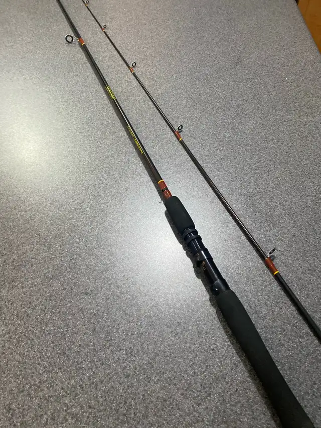 Fenwick Black Hawk Graphite Fishing Rod