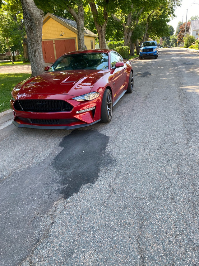 2020 pp2, roush super charger in Cars & Trucks in Summerside - Image 2