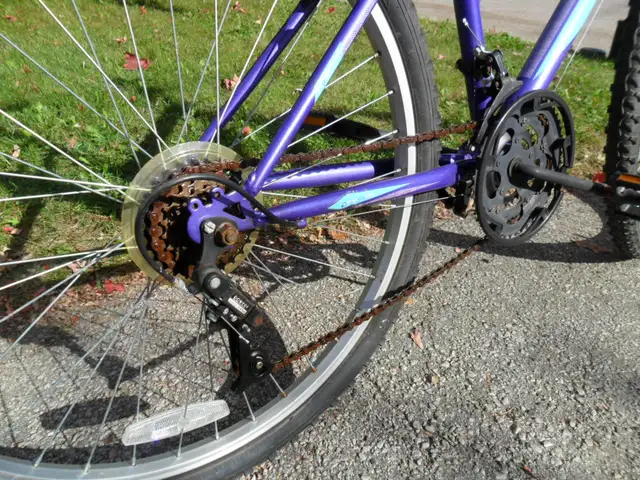Ladies/Youth Mountain Bike in Mountain in Markham / York Region - Image 3