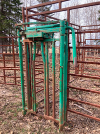 Cow Calf maternity Pen