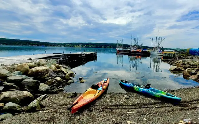 Wilderness Systems Tarpon 140 and 160 Kayaks in Canoes, Kayaks & Paddles in St. John's - Image 2