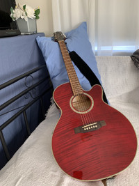 Takamine “G” Series with case .. ..  New for sale .. ..  $475.00