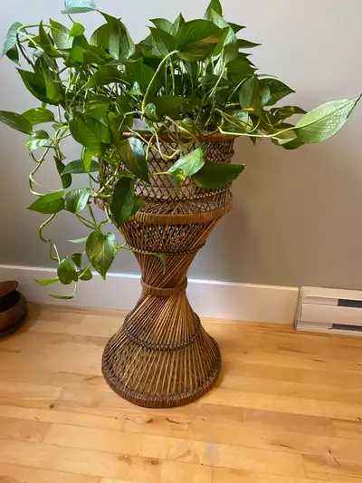 70s vintage rattan plant stand/table, View more