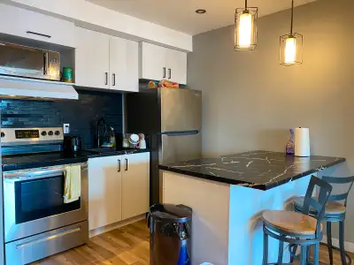 À louer – 3 ½ rénové au 3ème étage sur rue Hochelaga