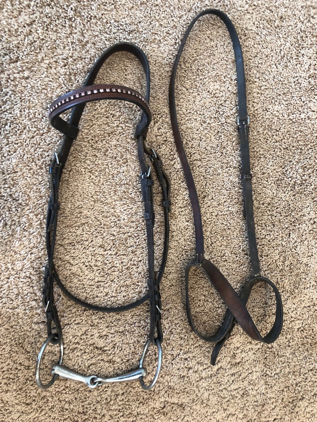 English Bridal in Equestrian & Livestock Accessories in Calgary