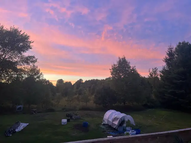 Senior with van  available 64985471716483120