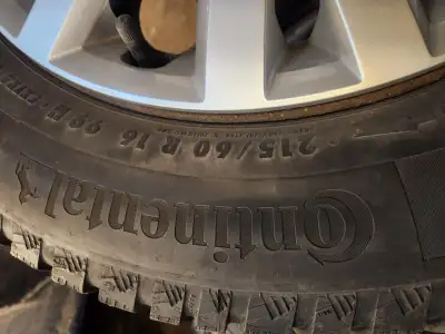 At least one season left