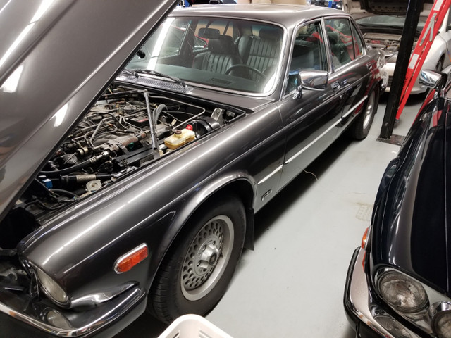 1988 Jaguar XJ12. Excellent Condition in Classic Cars in St. Albert - Image 2