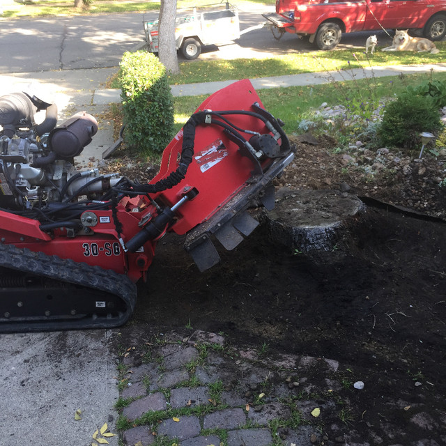 Stump grinding and root removal in Lawn, Tree Maintenance & Eavestrough in Edmonton - Image 3