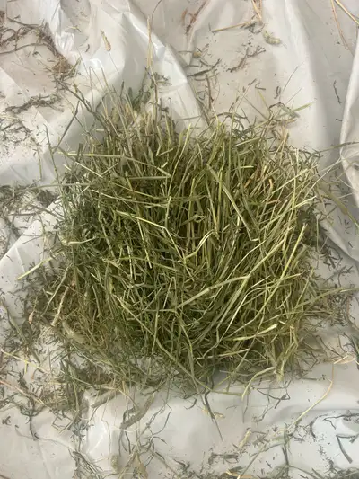 High-quality Timothy hay is available for purchase, perfect for your horses or small animals. This h...