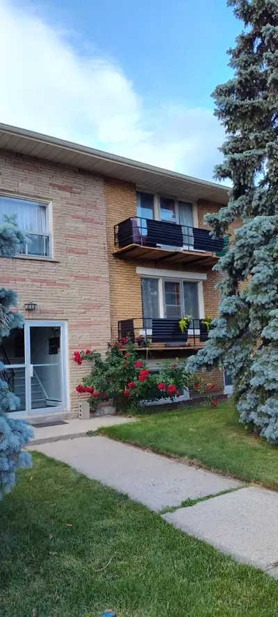 1 bedroom apartment available August 1, 2025