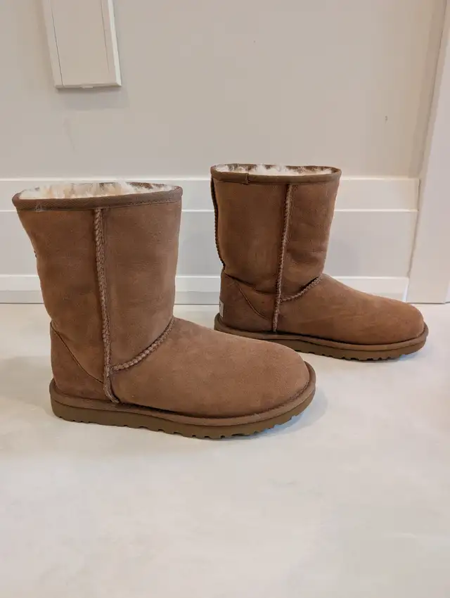 New UGG Australia Classic Short Boots - Chestnut - Size 6 in Women's - Shoes in Markham / York Region - Image 4