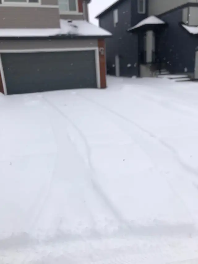 PROFESSIONAL FALL CLEANUP & SNOW REMOVAL 600046539920517124