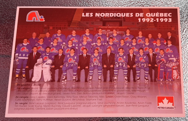 Série Complète Cartes Postales Nordiques Quebec 93-94 dans Art et objets de collection  à Trois-Rivières - Image 2