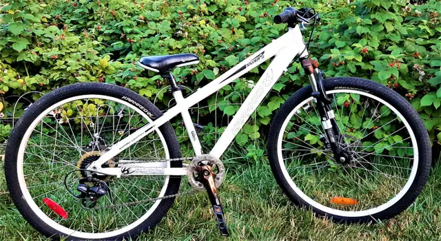 Silver Mountain Bike. Dual disc brakes in Mountain in City of Toronto - Image 6