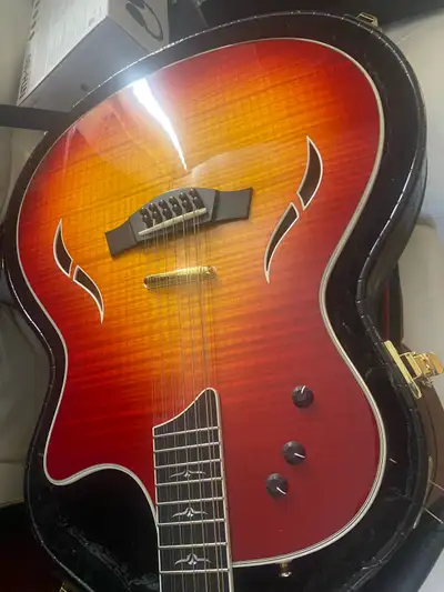 таylor T5 Standard Hollowbody acoustic electric, View more