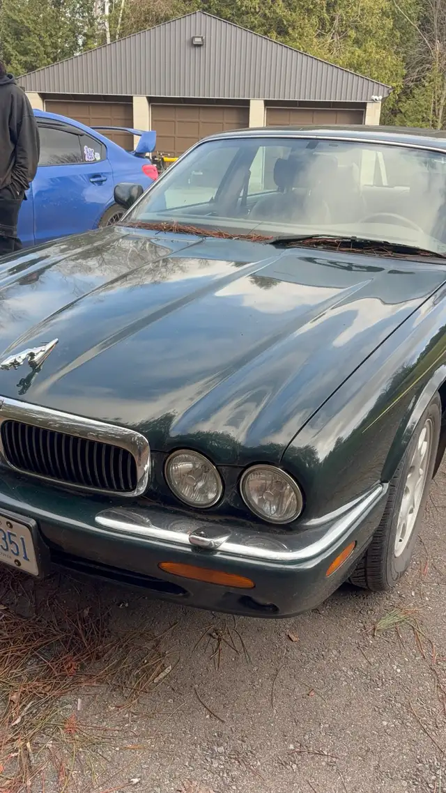 Jaguar XJ8556564731690362883