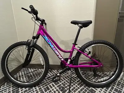 Schwinn High Timber Mountain Bike, NEW, $350 firm, View more