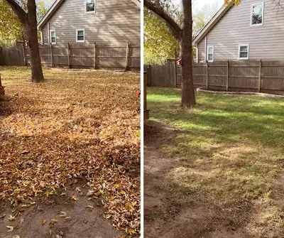 Fall Leaf Clean Up and Snow Removal, View more