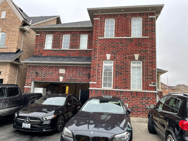 Basement Apartment for Rent available April 1 in Long Term Rentals in Mississauga / Peel Region