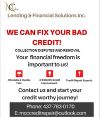Remove Bad Debts and Repair Your Credit 437-783-0170