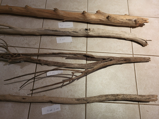 Driftwood, White birch, decorative wood pieces- macrame pieces in Arts & Collectibles in City of Toronto - Image 4