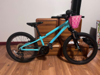 Kids 20” Norco Storm