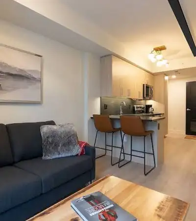 looking to sublet place for winter 2026 (jan-april) female unit only! Society 145; 145 Columbia Stre...